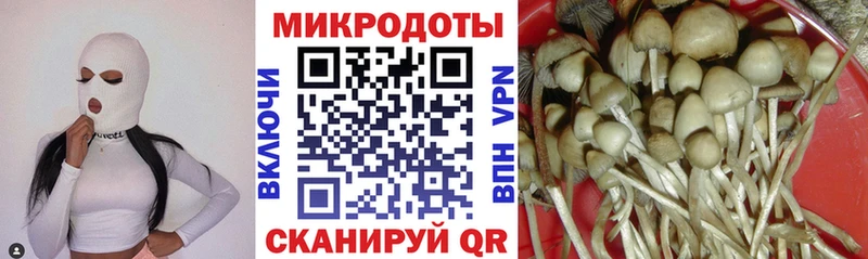 Купить где  Андреаполь  Галлюциногенные грибы Magic Shrooms 